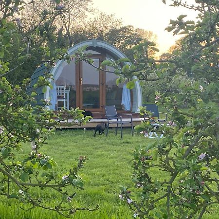 Hotel Orchard Luxe Glamping Pod Dungannon Zewnętrze zdjęcie