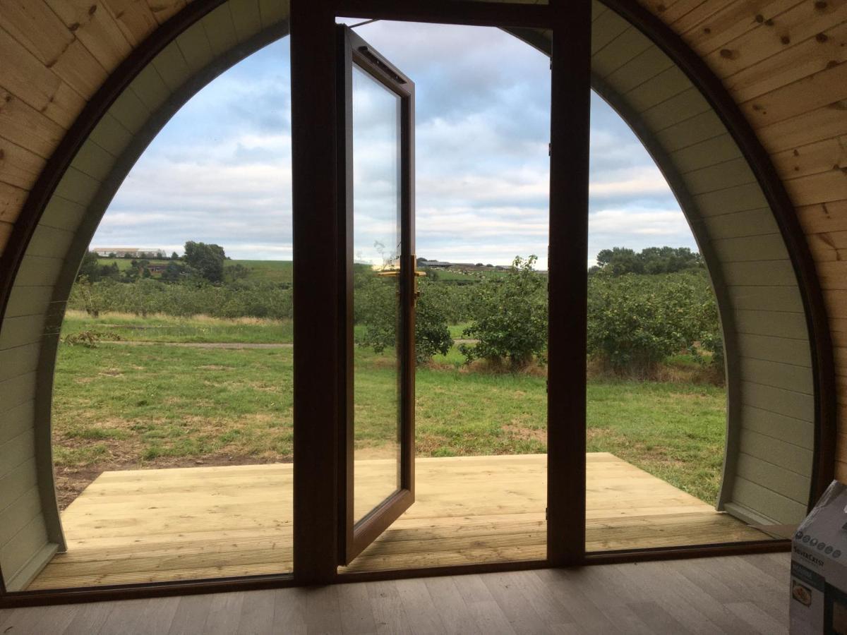 Hotel Orchard Luxe Glamping Pod Dungannon Zewnętrze zdjęcie